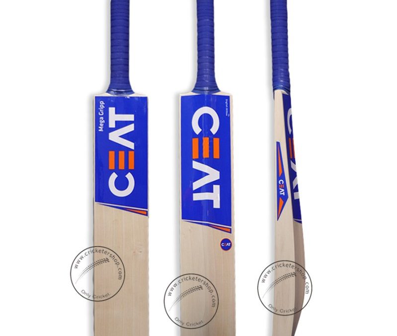 Ceat Cricket Bat Axycube Solutions Pvt Ltd.