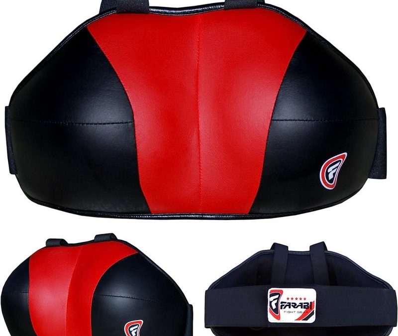 Chest Guard Cricket Axycube Solutions Pvt Ltd.