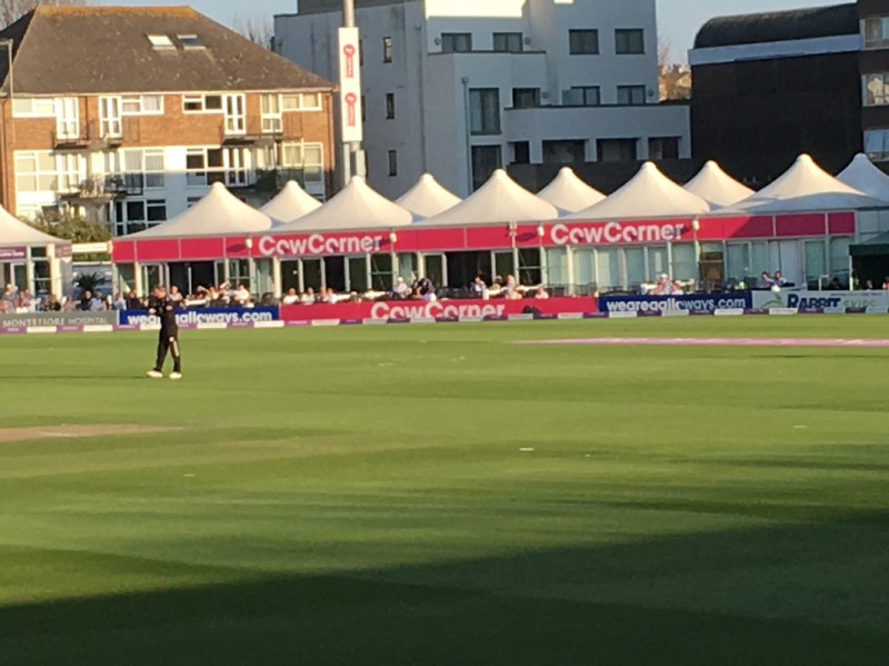 Cow Corner In Cricket Axycube Solutions Pvt Ltd.