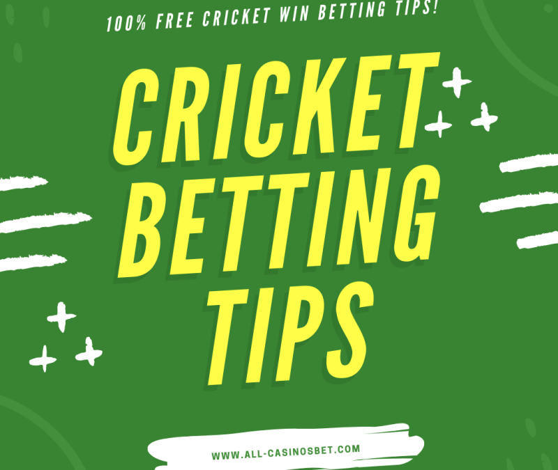 Cricket Betting Tips For Ipl - Axycube Solutions Pvt Ltd.