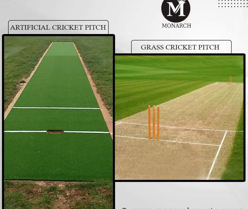 Cricket Pitch Length Axycube Solutions Pvt Ltd.