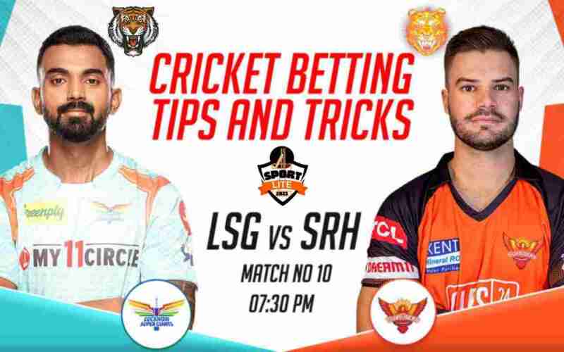 The Cricket Betting Tips - Axycube Solutions Pvt Ltd.