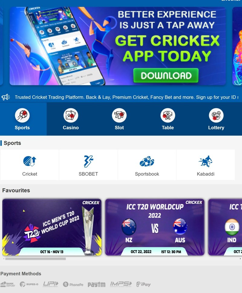 which-is-the-best-cricket-betting-app-in-india-axycube-solutions-pvt-ltd