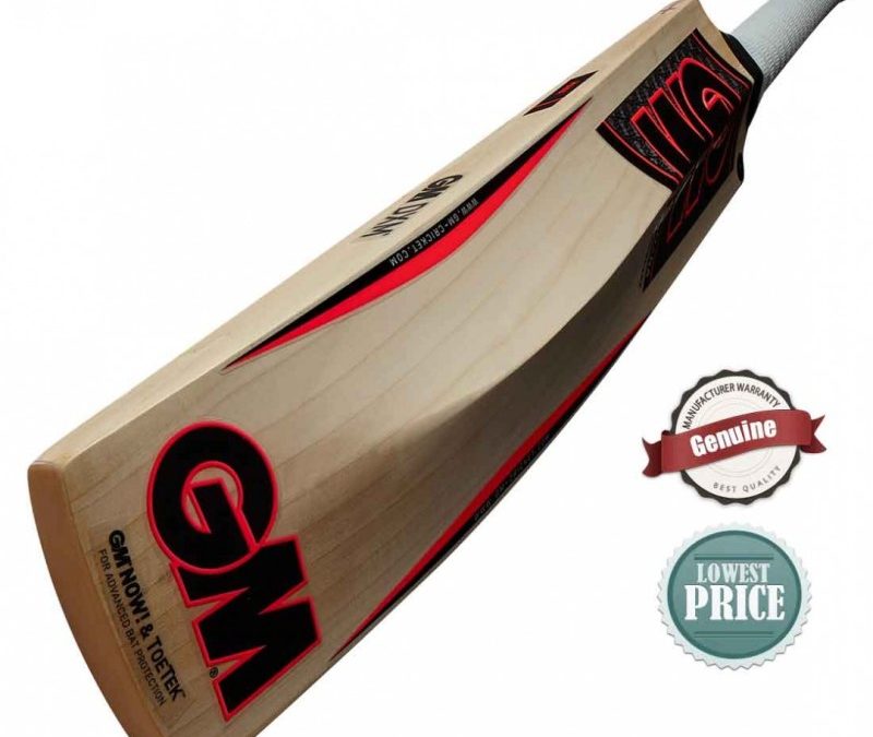 Gm Cricket Bat Axycube Solutions Pvt Ltd.